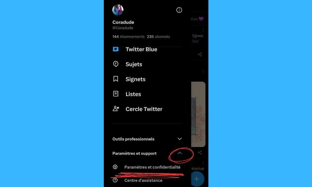 Twitter settings and privacy
