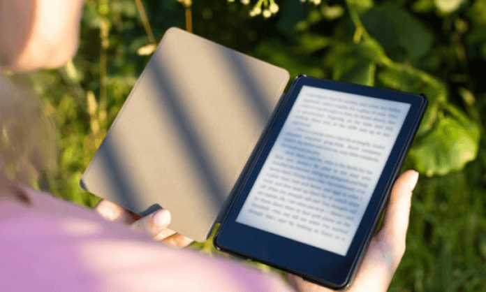 1001 ebook ne fonctionne plus ? La nouvelle adresse